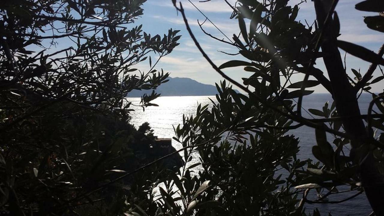 Antonelloapartments - La Farfalla Bianca Marciano Εξωτερικό φωτογραφία